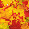Stoffen Herfstbladeren (200st.)