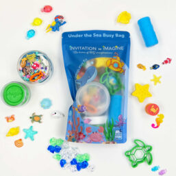 Busy Bag – In de Zee